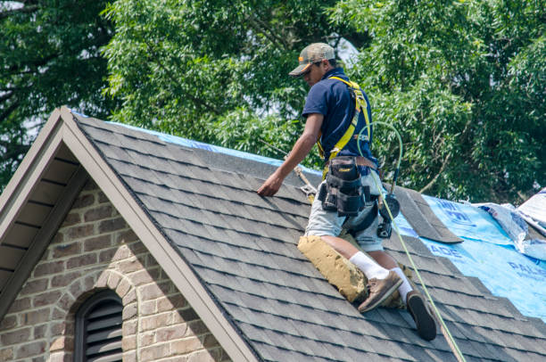 Best Storm Damage Roof Repair  in Brewton, AL